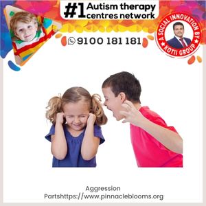 Understanding and Managing Aggressive Tantrums in Children with Autism