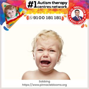 Understanding and Managing Sobbing Tantrums in Children with Autism