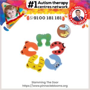 Understanding and Managing Door Slamming Tantrums in Children with Autism