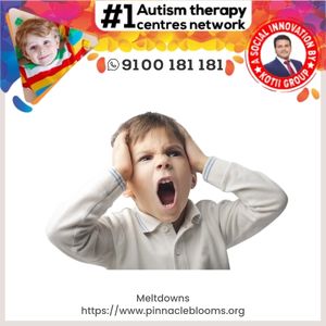 Understanding and Managing Meltdowns in Children | Pinnacle Blooms Network