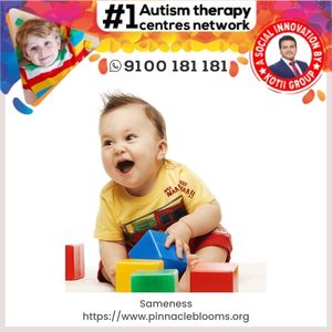 Understanding and Managing Sameness in Children | Pinnacle Blooms Network