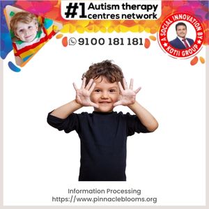 Understanding and Improving Information Processing Skills in Children | Pinnacle Blooms Network