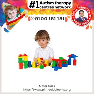 Understanding and Improving Motor Skills in Children | Pinnacle Blooms Network