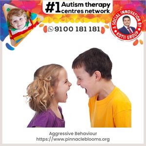 Understanding and Managing Aggressive Behavior in Children | Pinnacle Blooms Network
