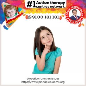 Understanding and Managing Executive Function Issues in Children | Pinnacle Blooms Network